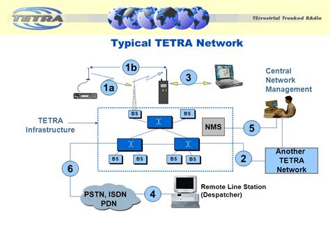 tetra channel server